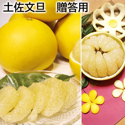 土佐文旦　贈答用 送料込み