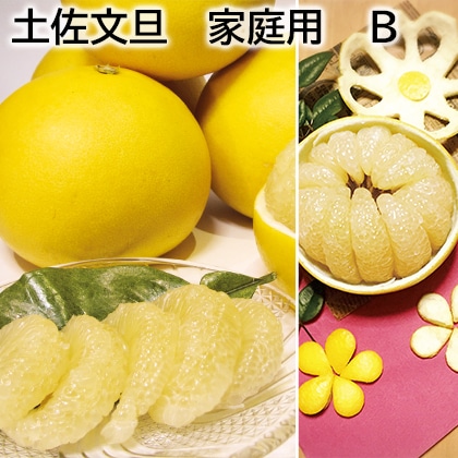 土佐文旦　家庭用　Ｂ 送料込み