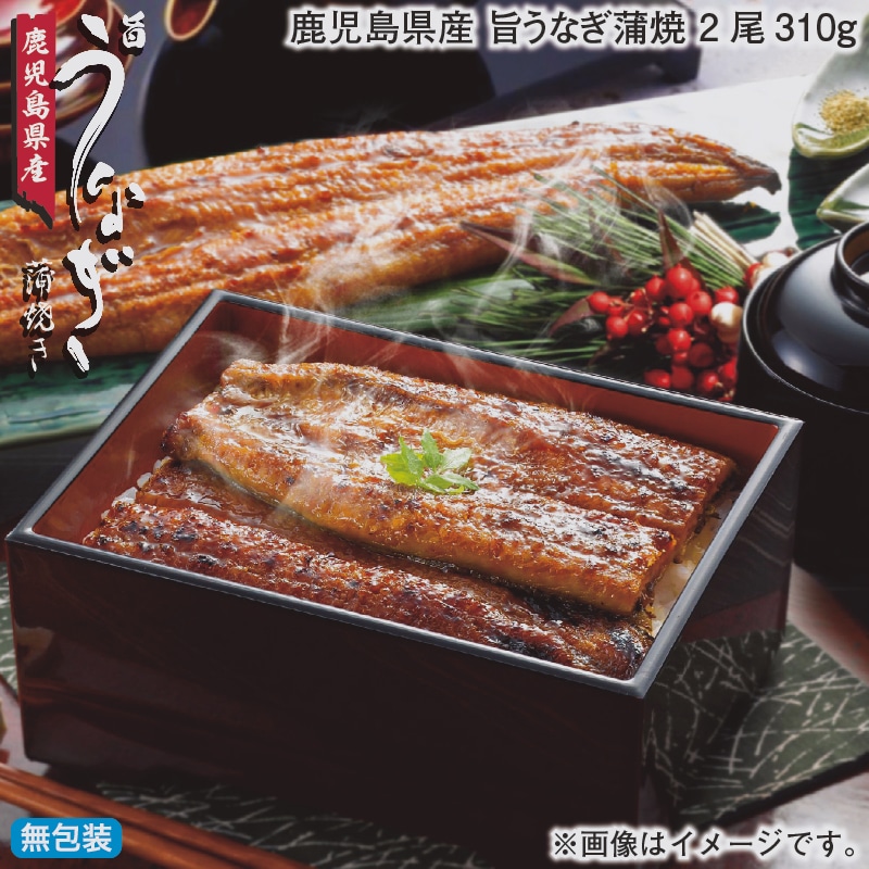 お歳暮 鹿児島県産　旨うなぎ蒲焼　２尾３１０ｇ 冬ギフト 送料込み
