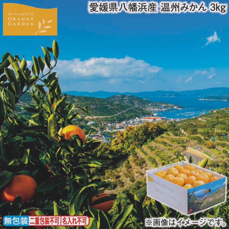 お歳暮 愛媛県八幡浜産　温州みかん　３ｋｇ 冬ギフト 送料込み