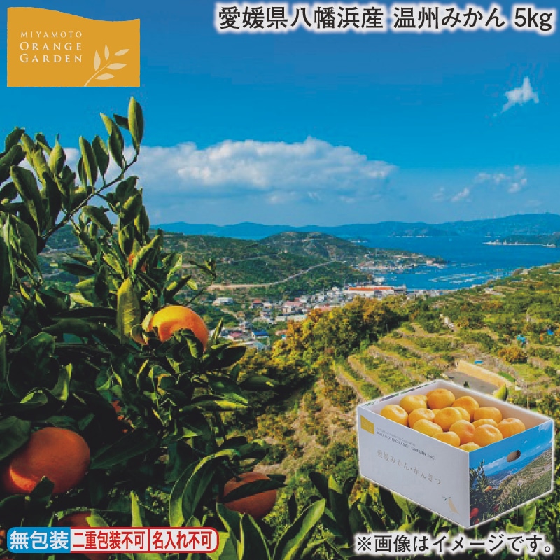 お歳暮 愛媛県八幡浜産　温州みかん　５ｋｇ 冬ギフト 送料込み