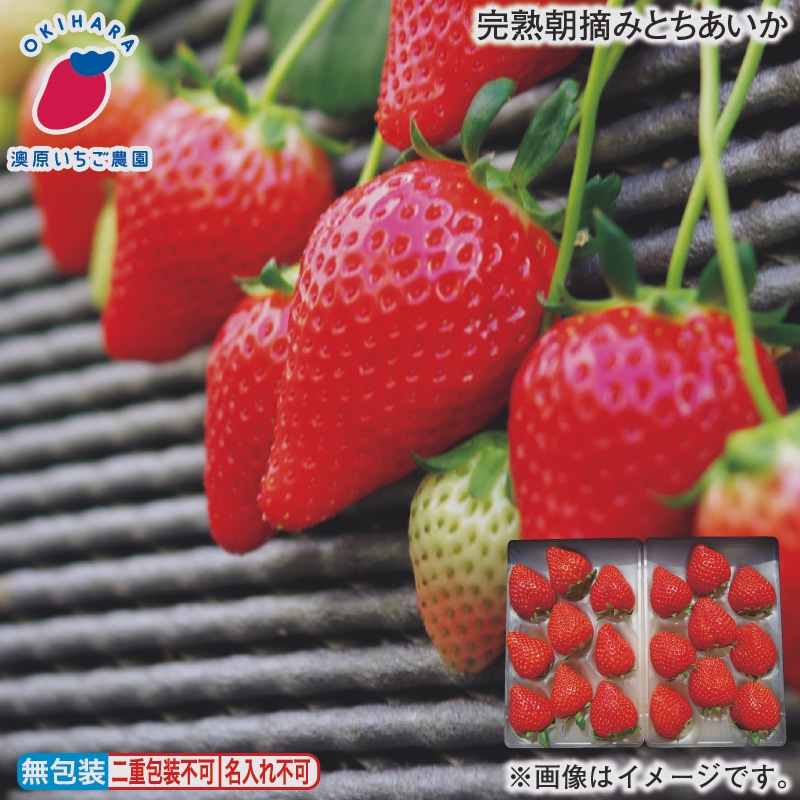 お歳暮 完熟朝摘みとちあいか 冬ギフト 送料込み