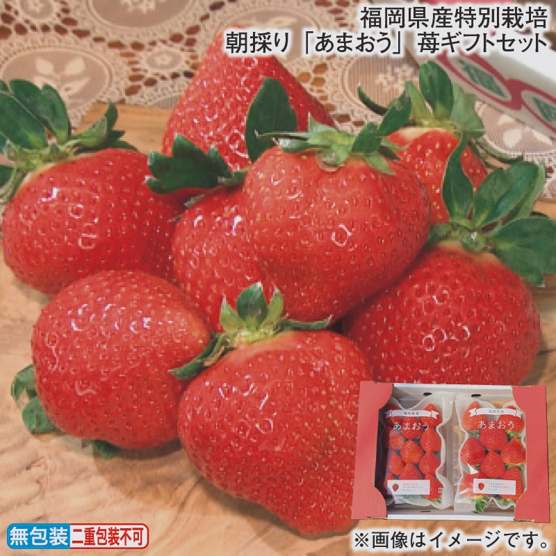 お歳暮 福岡県産特別栽培　朝採り「あまおう」苺ギフトセット 冬ギフト 送料込み