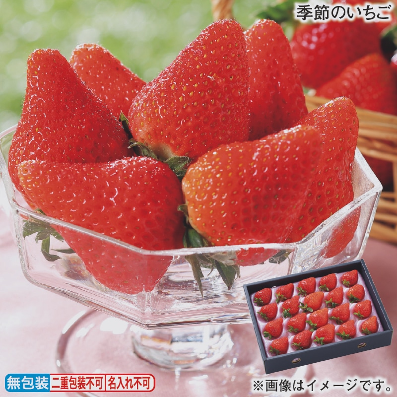 お歳暮 季節のいちご 冬ギフト 送料込み