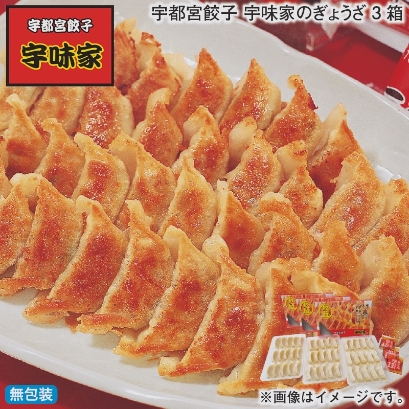 お歳暮 宇都宮餃子　宇味家のぎょうざ　３箱 冬ギフト 送料込み
