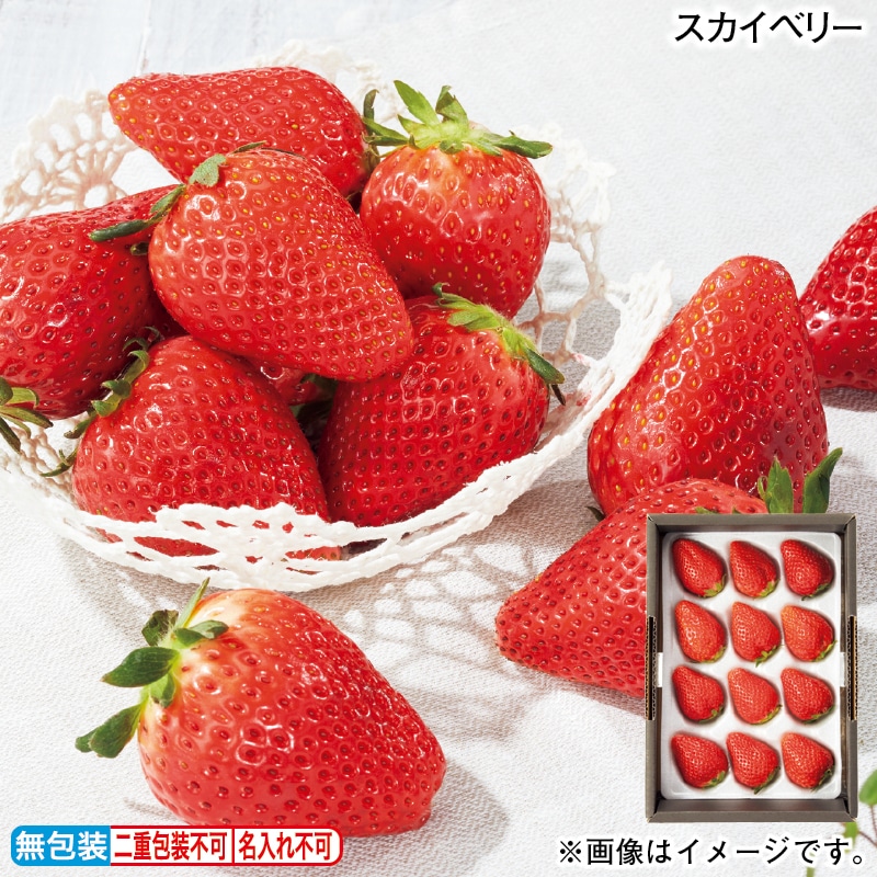 お歳暮 スカイベリー 冬ギフト 送料込み