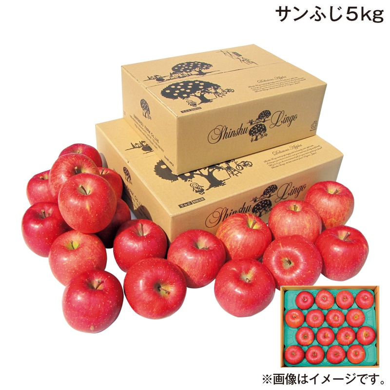 お歳暮 サンふじ　５ｋｇ 送料込み
