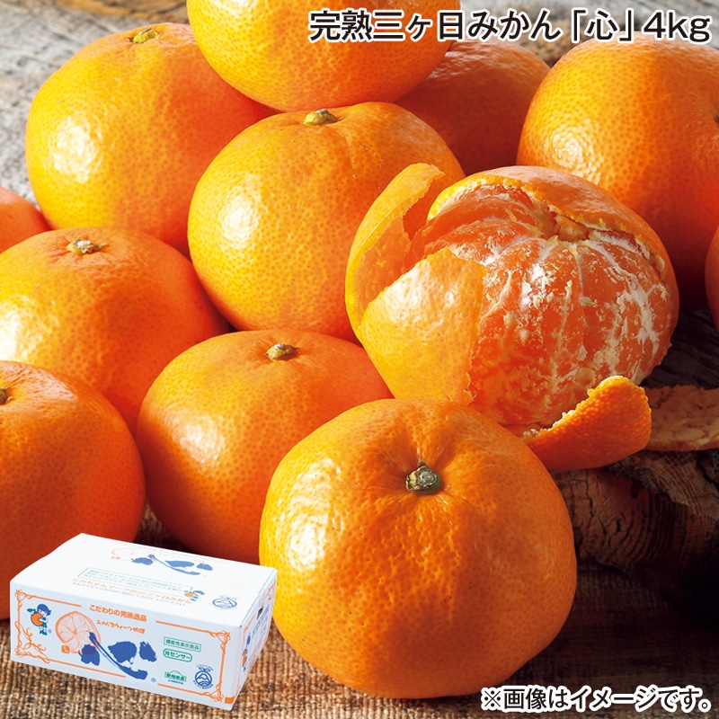 お歳暮 完熟三ヶ日みかん「心」４ｋｇ 送料込み