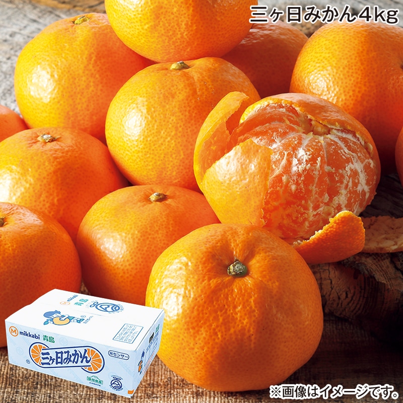 お歳暮 三ヶ日みかん　４ｋｇ 送料込み