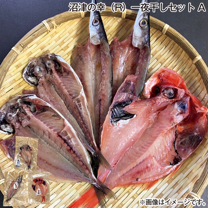 お歳暮 沼津の幸（Ｒ）一夜干しセット　Ａ 送料込み