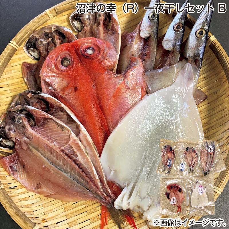 お歳暮 沼津の幸（Ｒ）一夜干しセット　Ｂ 送料込み