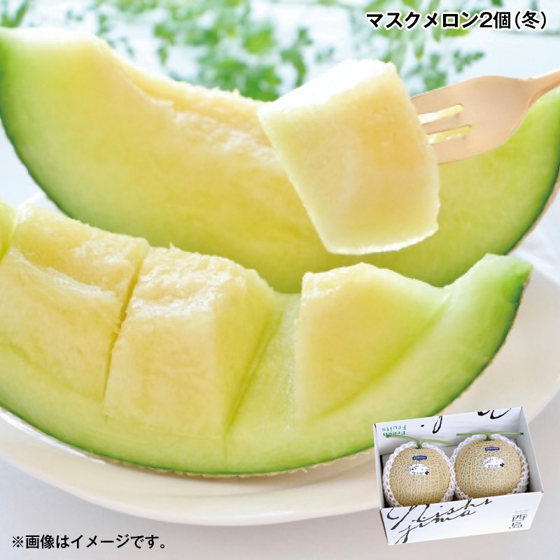 お歳暮 マスクメロン２個（冬） 送料込み