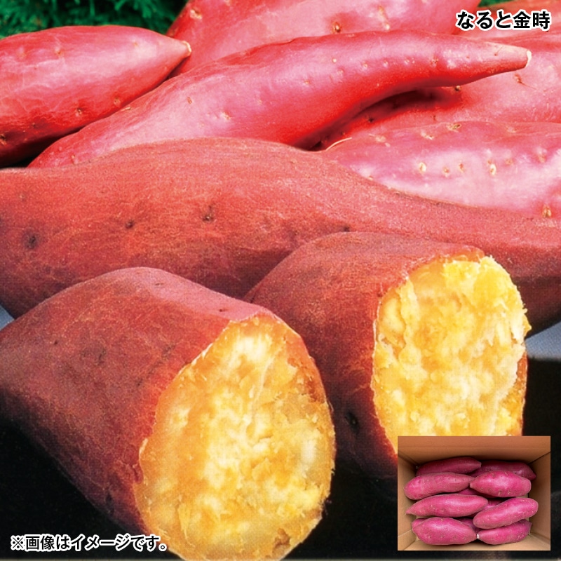 お歳暮 なると金時 送料込み