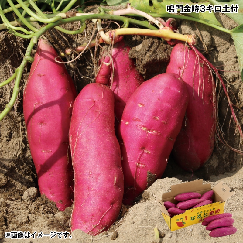 お歳暮 鳴門金時３キロ土付 送料込み
