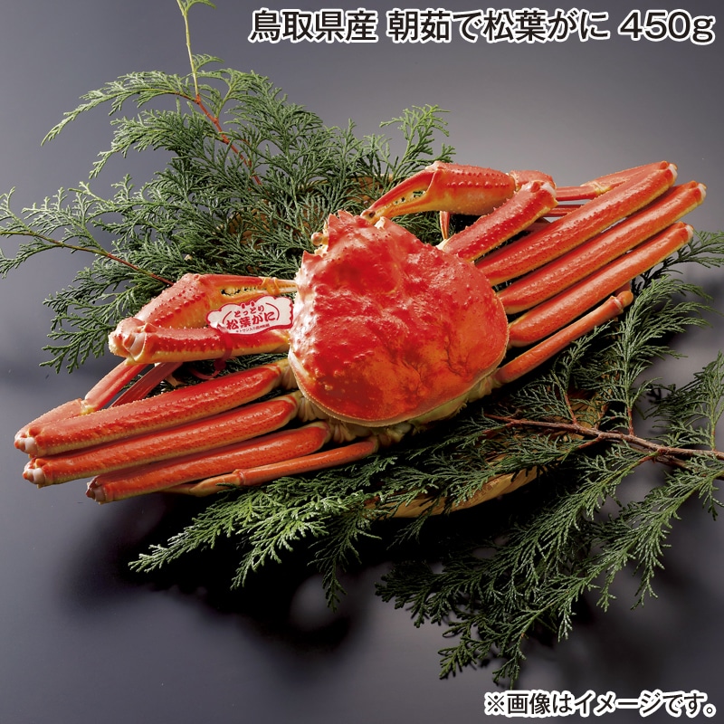 お歳暮 鳥取県産　朝茹で松葉がに　４５０ｇ 送料込み