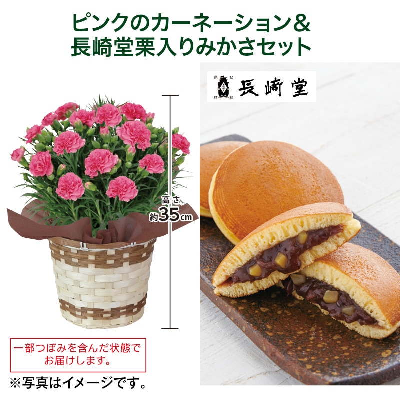 母の日  ピンクのカーネーション＋長崎堂栗入りみかさセット 送料込み