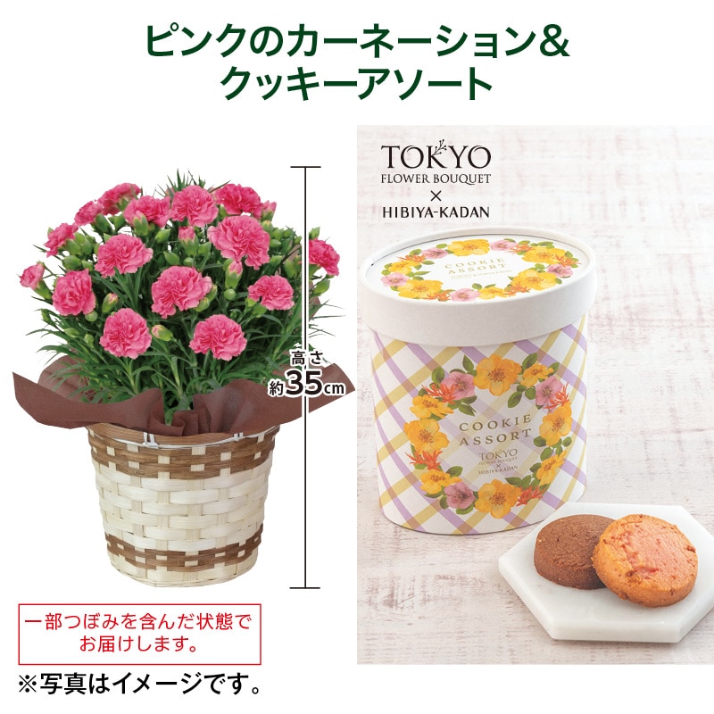 母の日  ピンクのカーネーション＋東京フラワーブーケクッキーアソートセット 送料込み