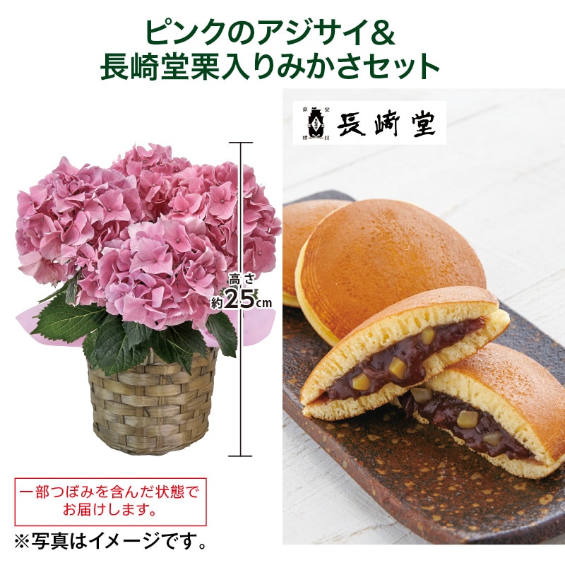 母の日  ピンクのアジサイ＋長崎堂栗入りみかさセット 送料込み