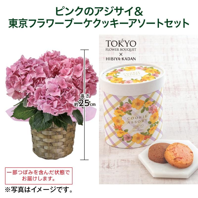 母の日  ピンクのアジサイ＋東京フラワーブーケクッキーアソートセット 送料込み