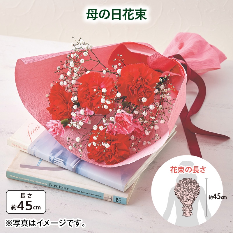 母の日  母の日花束 送料込み