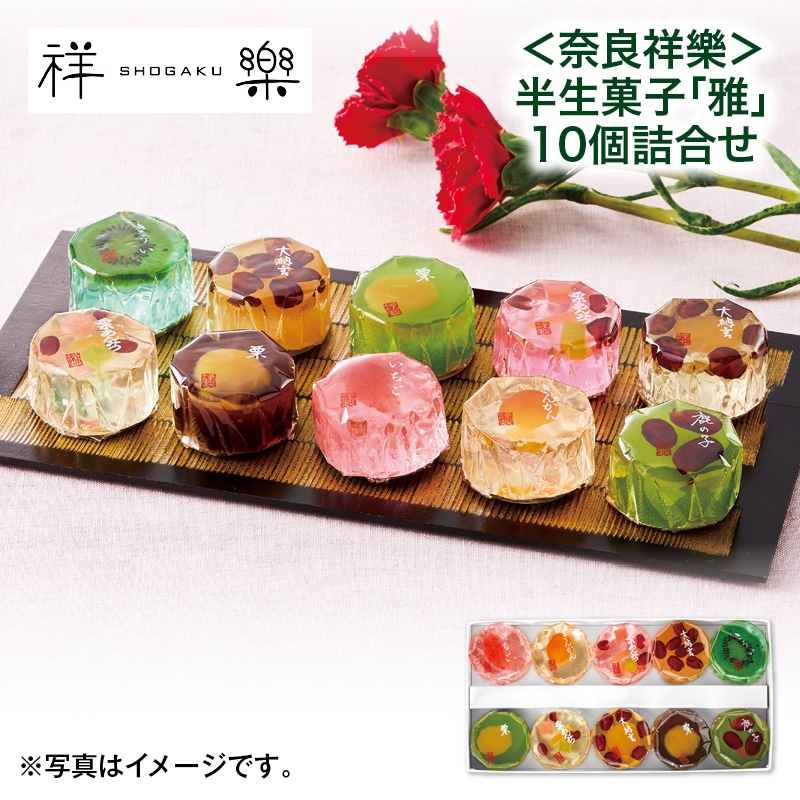 母の日  ＜奈良祥樂＞半生菓子「雅」１０個詰合せ 送料込み
