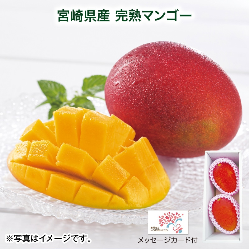 母の日  宮崎県産　完熟マンゴー 送料込み