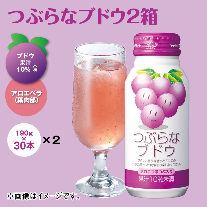 つぶらなブドウ２箱 ドリンク 飲料
