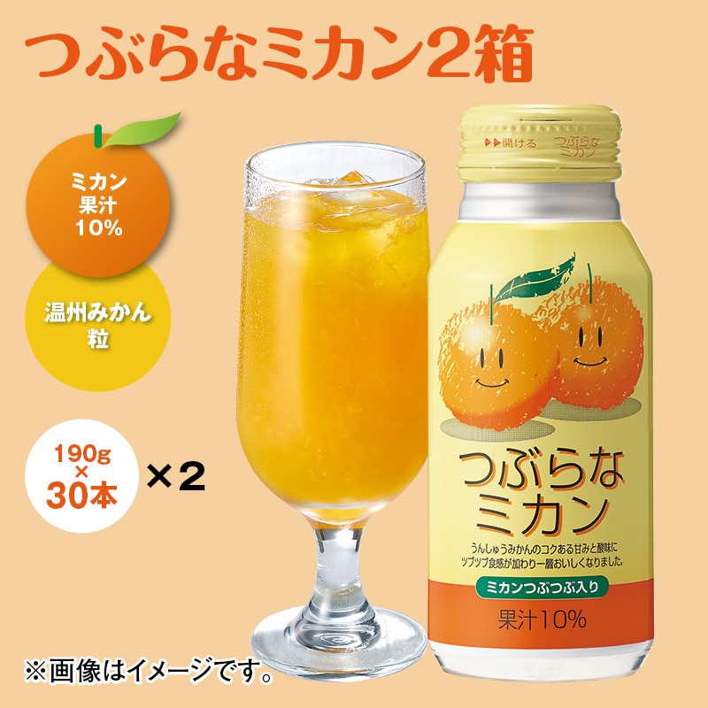 つぶらなミカン２箱 ドリンク 飲料