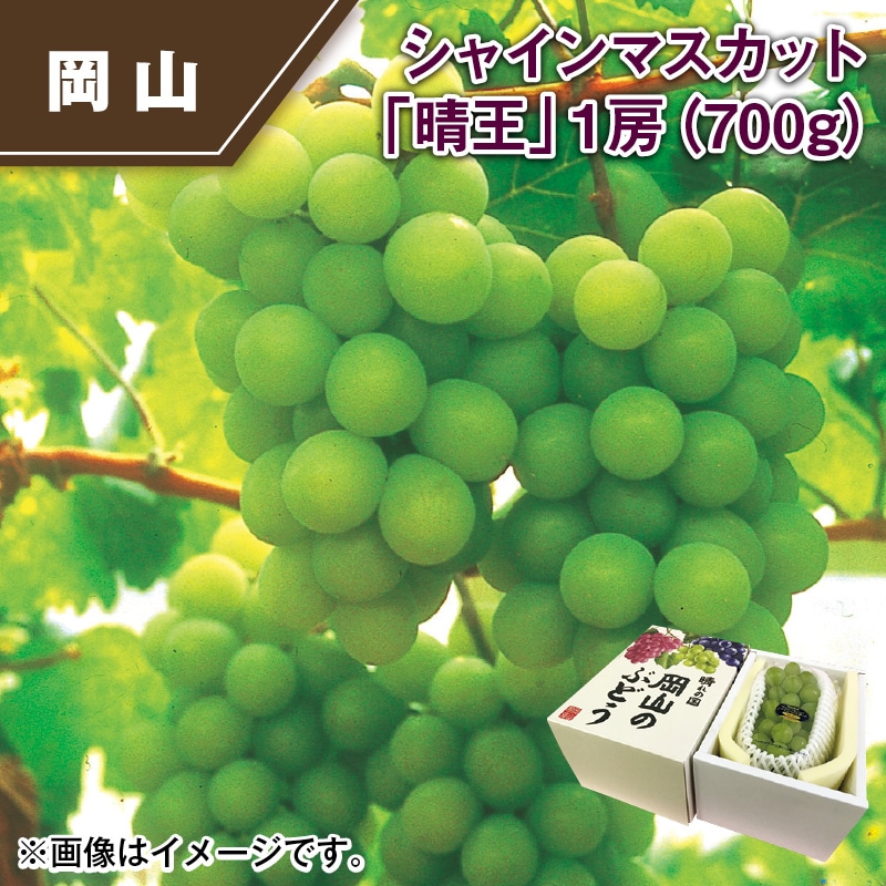 シャインマスカット「晴王」１房（７００ｇ） 送料込み