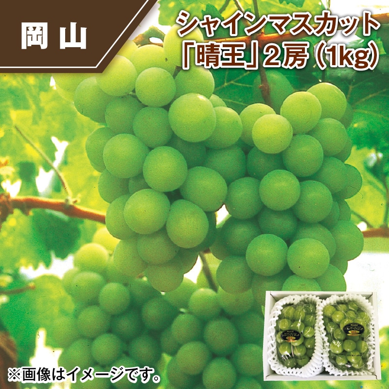 シャインマスカット「晴王」２房（１ｋｇ） 送料込み