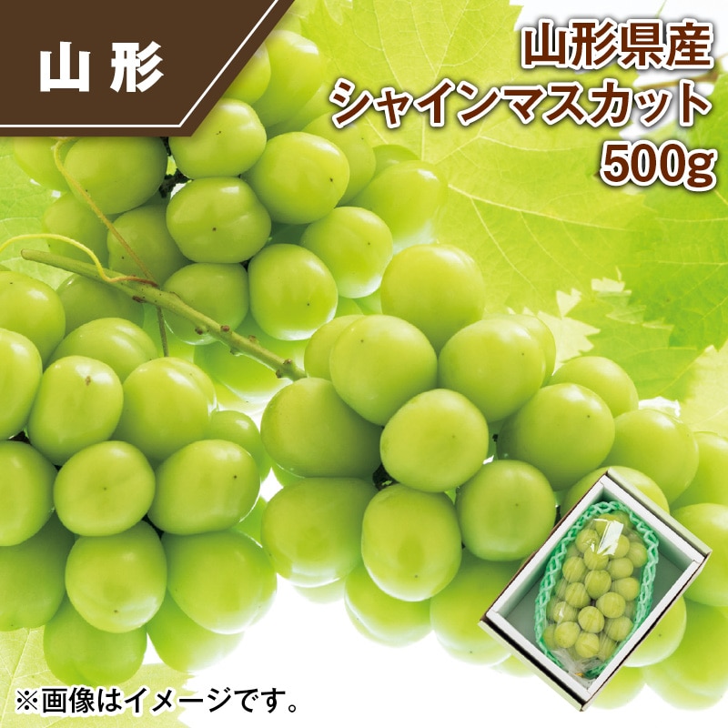 山形県産　シャインマスカット５００ｇ 送料込み