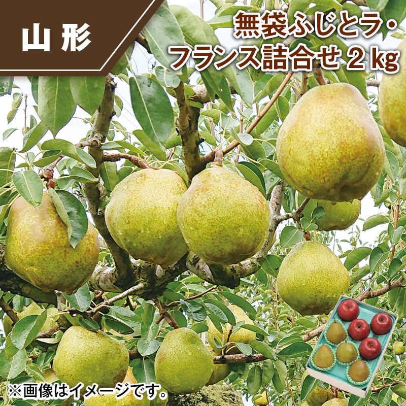 無袋ふじとラ・フランス詰合せ２ｋｇ 送料込み