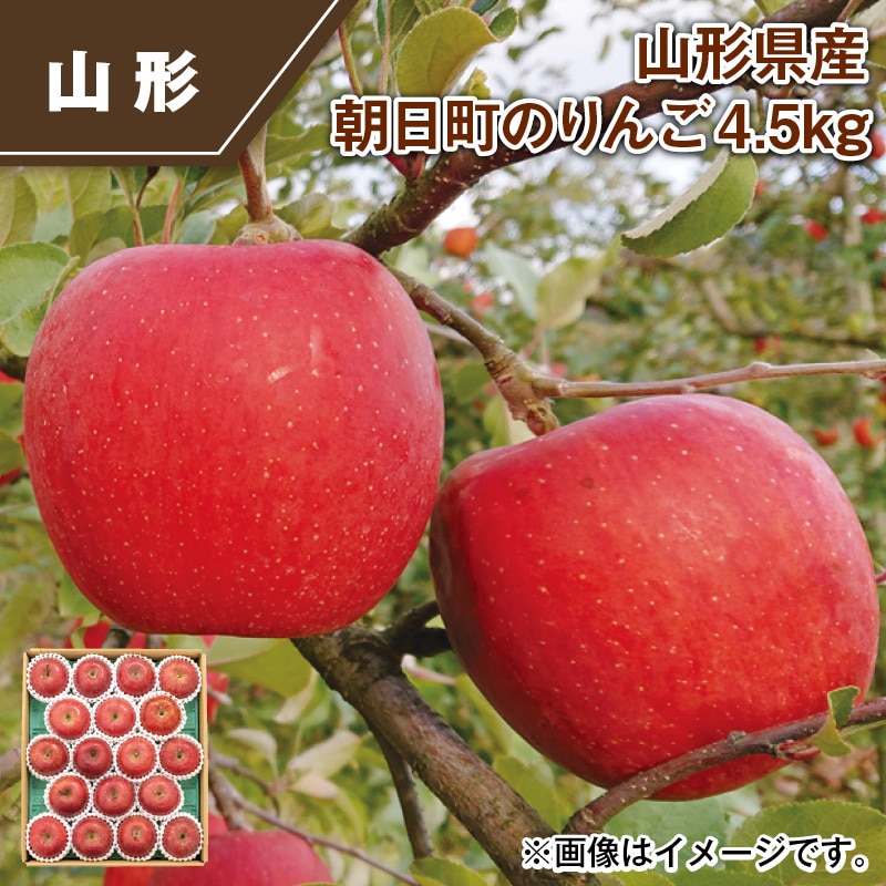 山形県産　朝日町のりんご４．５ｋｇ 送料込み