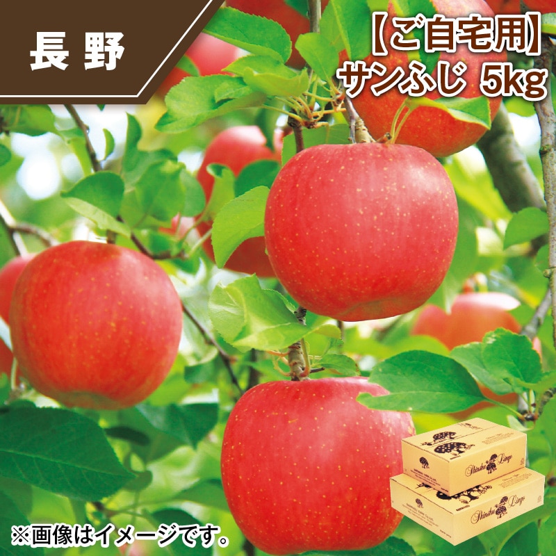【ご自宅用】サンふじ５ｋｇ 送料込み