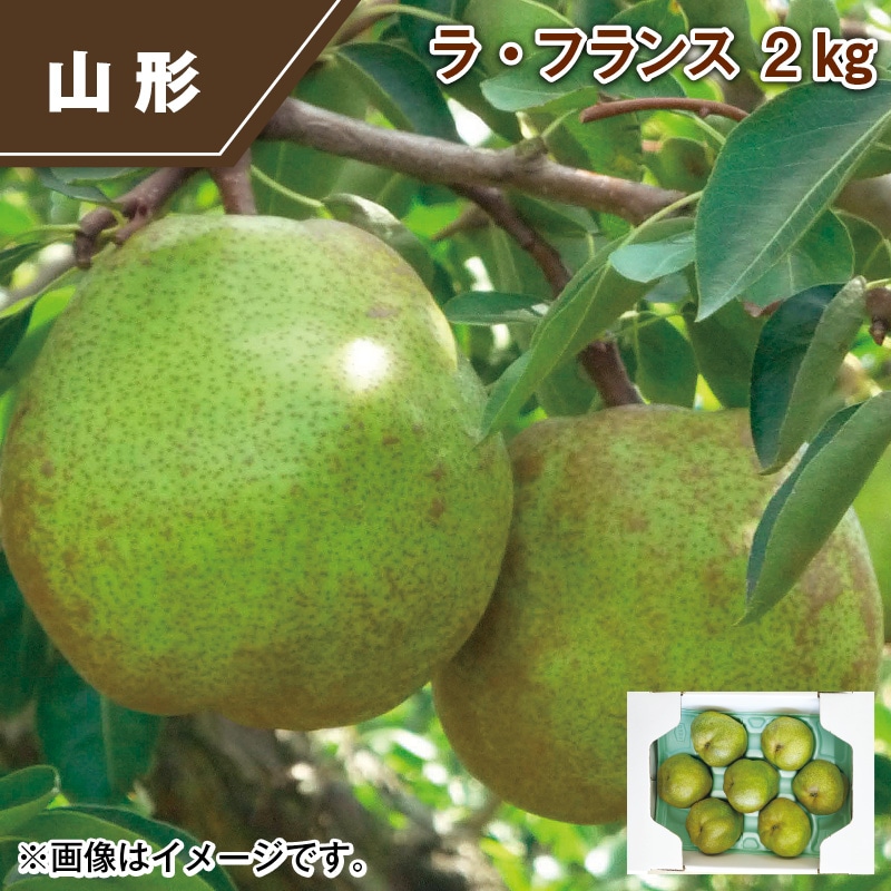 ラ・フランス　２ｋｇ 送料込み