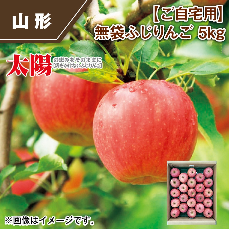【ご自宅用】無袋ふじりんご　５ｋｇ 送料込み