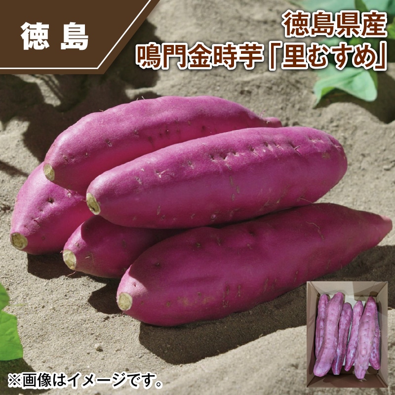 徳島県産　鳴門金時芋「里むすめ」 送料込み