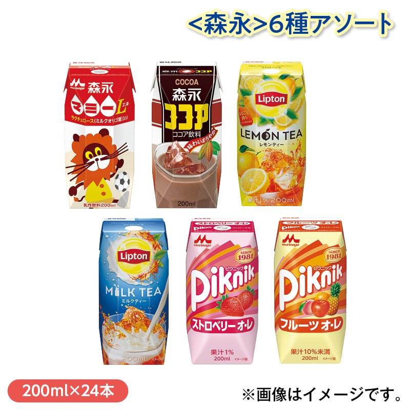 ＜森永＞６種アソート 送料込み