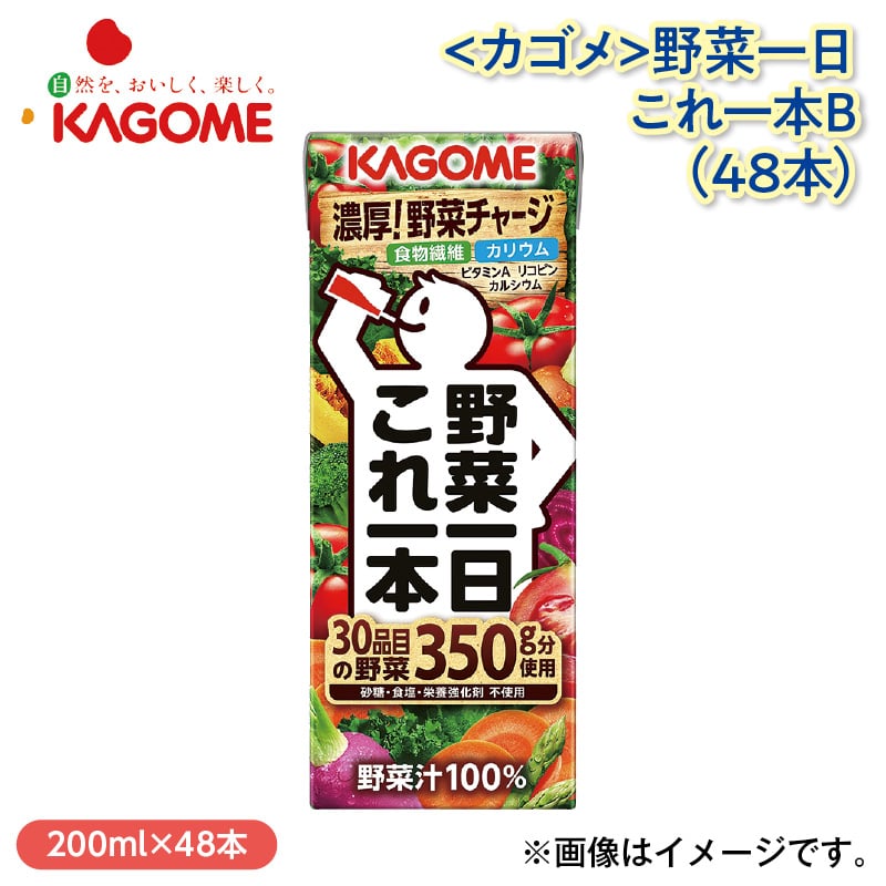 ＜カゴメ＞野菜一日これ一本Ｂ（４８本） 送料込み