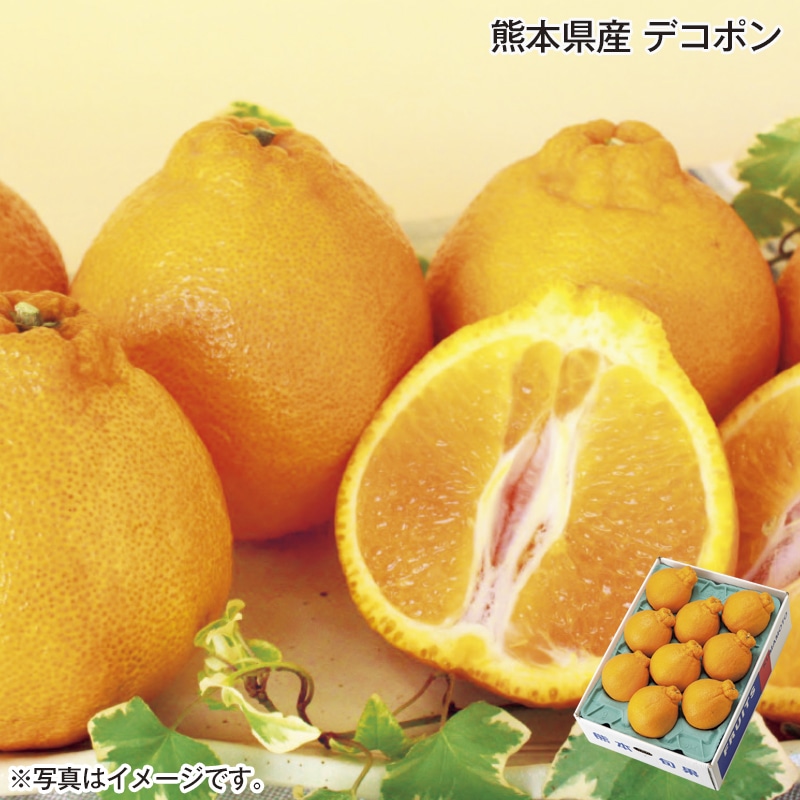 熊本県産　デコポン 送料込み