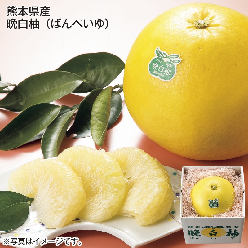 熊本県産　晩白柚 送料込み