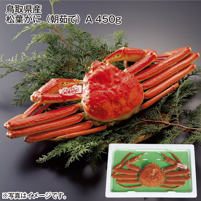 鳥取県産　松葉がに（朝茹で）Ａ　４５０ｇ 送料込み