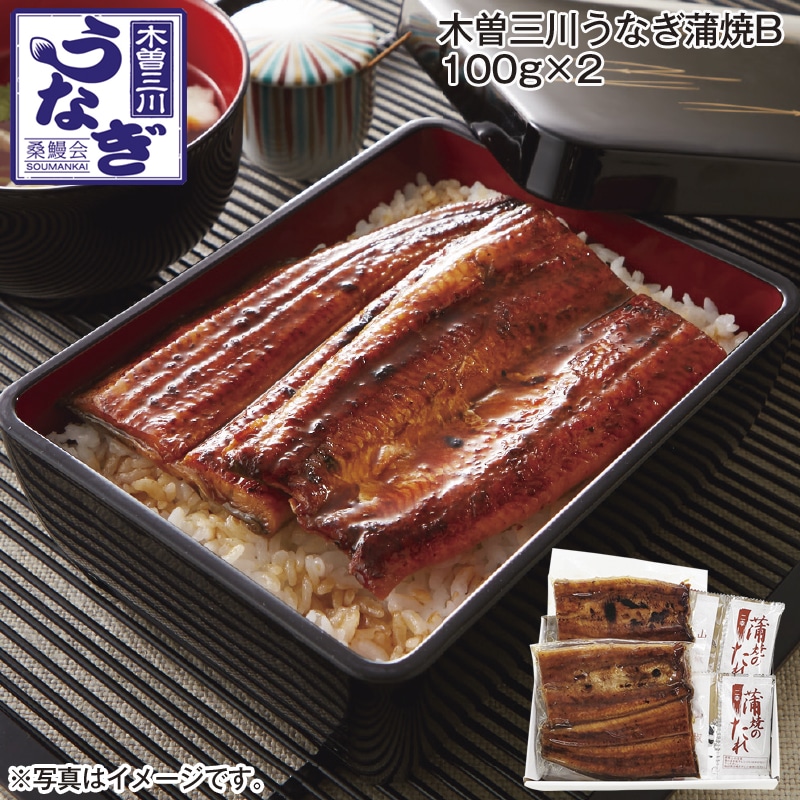 木曽三川うなぎ蒲焼Ｂ　１００ｇ×２ 送料込み