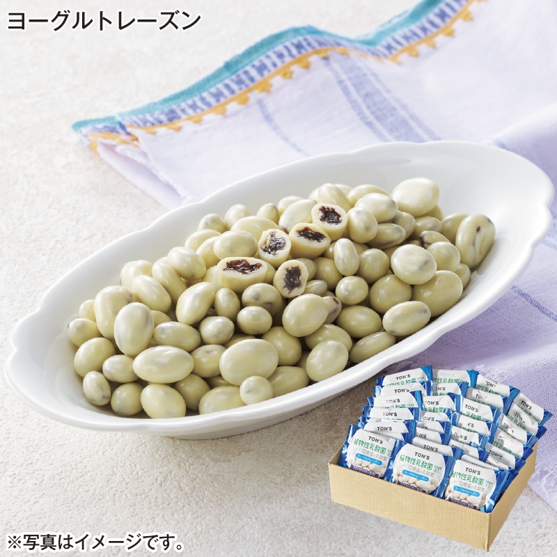 ヨーグルトレーズン 送料込み