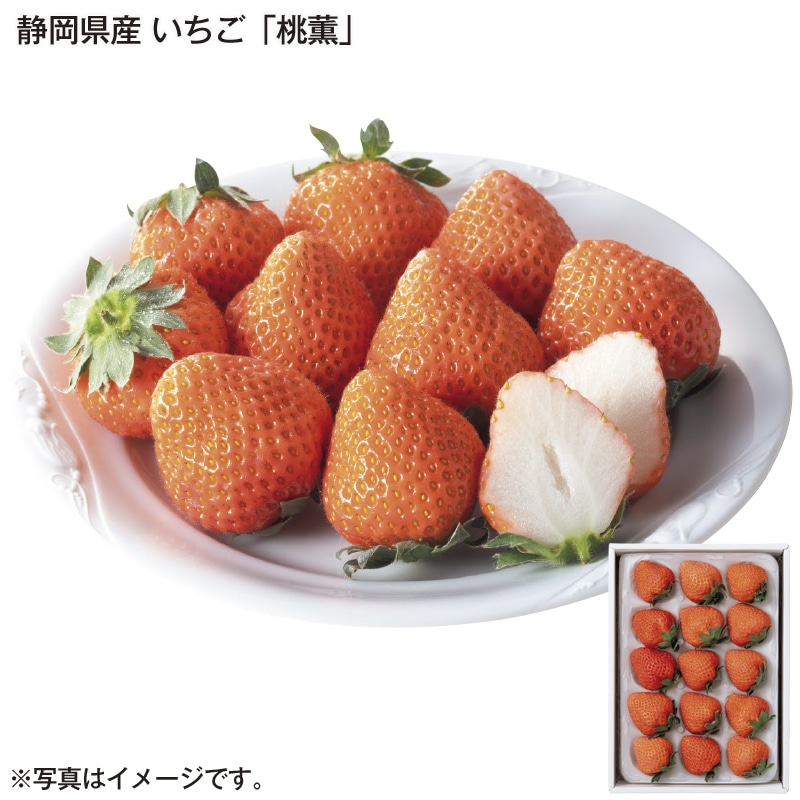 静岡県産　いちご「桃薫」 送料込み