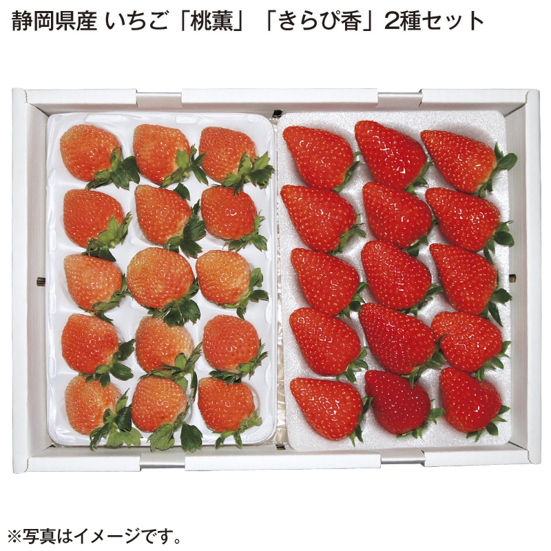 静岡県産　いちご「桃薫」「きらぴ香」２種セット 送料込み