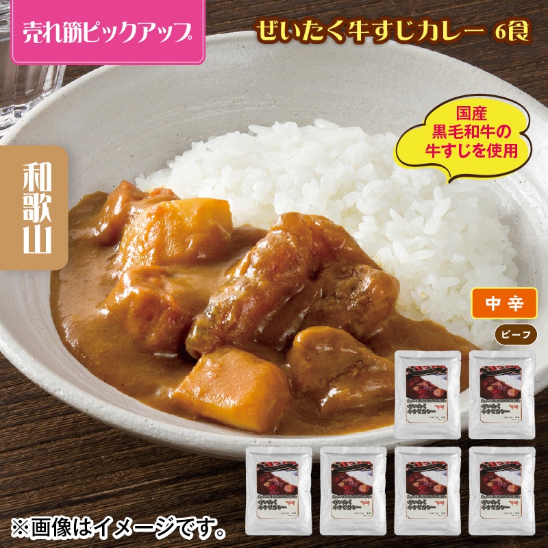 ぜいたく牛すじカレー　６食 送料込み