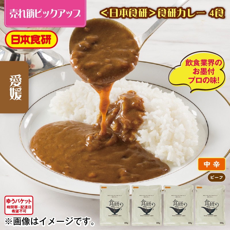 ＜日本食研＞食研カレー　４食 送料込み