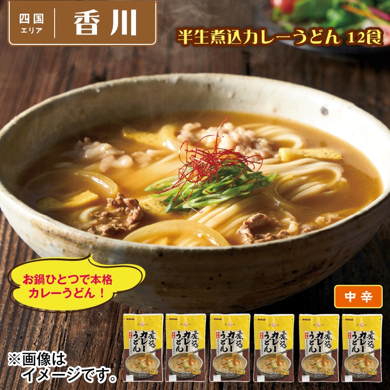 半生煮込カレーうどん　１２食 送料込み