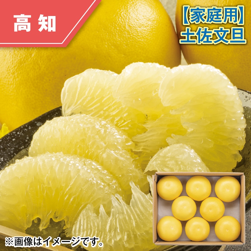 【家庭用】土佐文旦４ｋｇ 送料込み